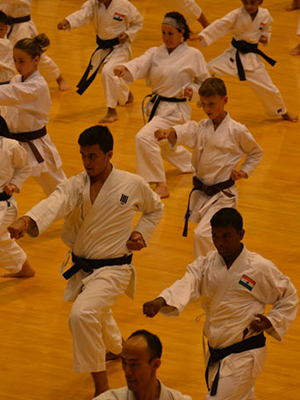 Karate-Instructors