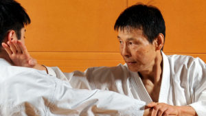 Karate as a martial art