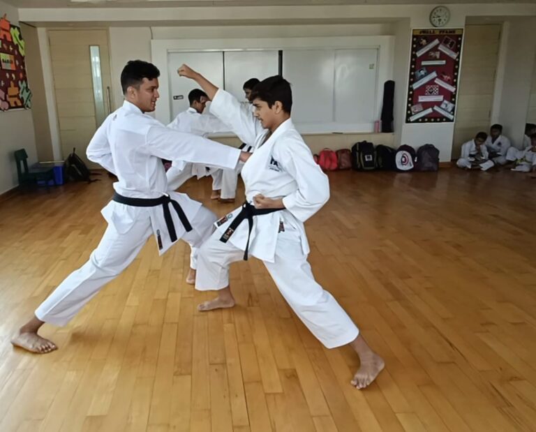 Martial Arts and Physical Wellbeing